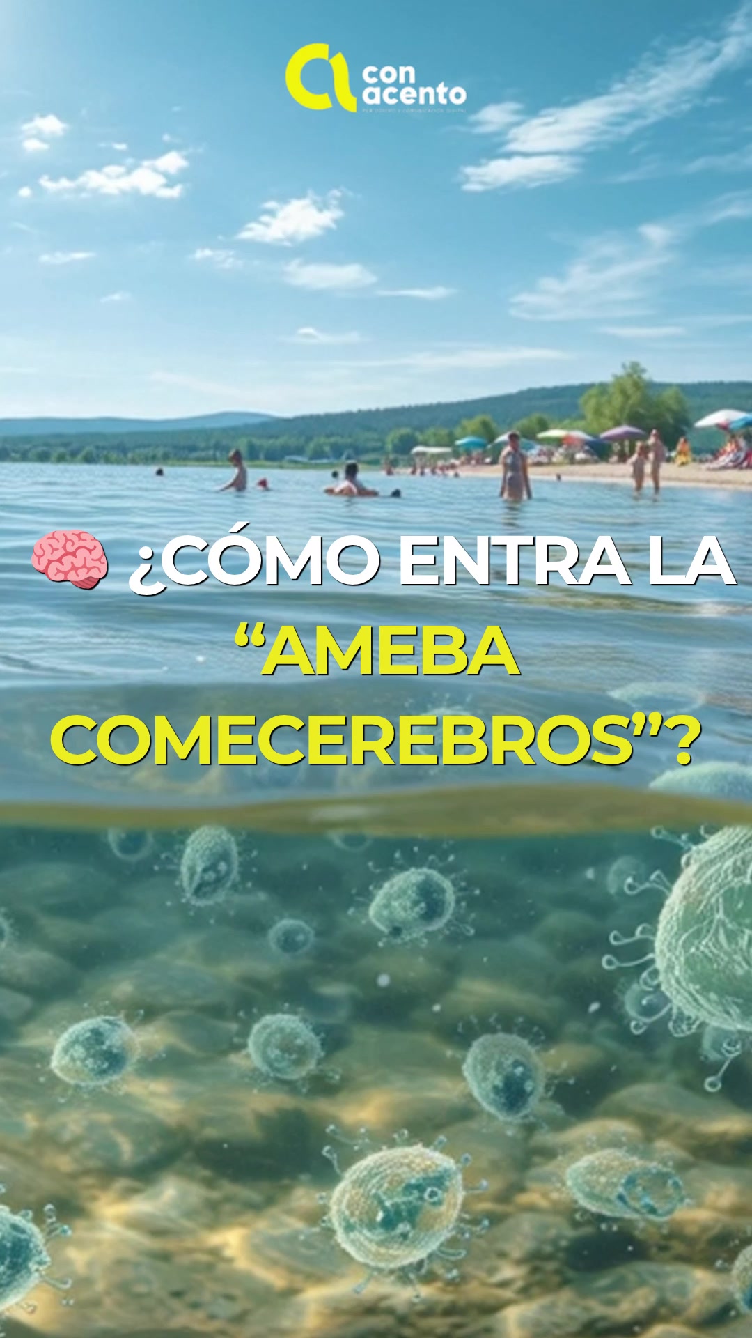 @Con Acento