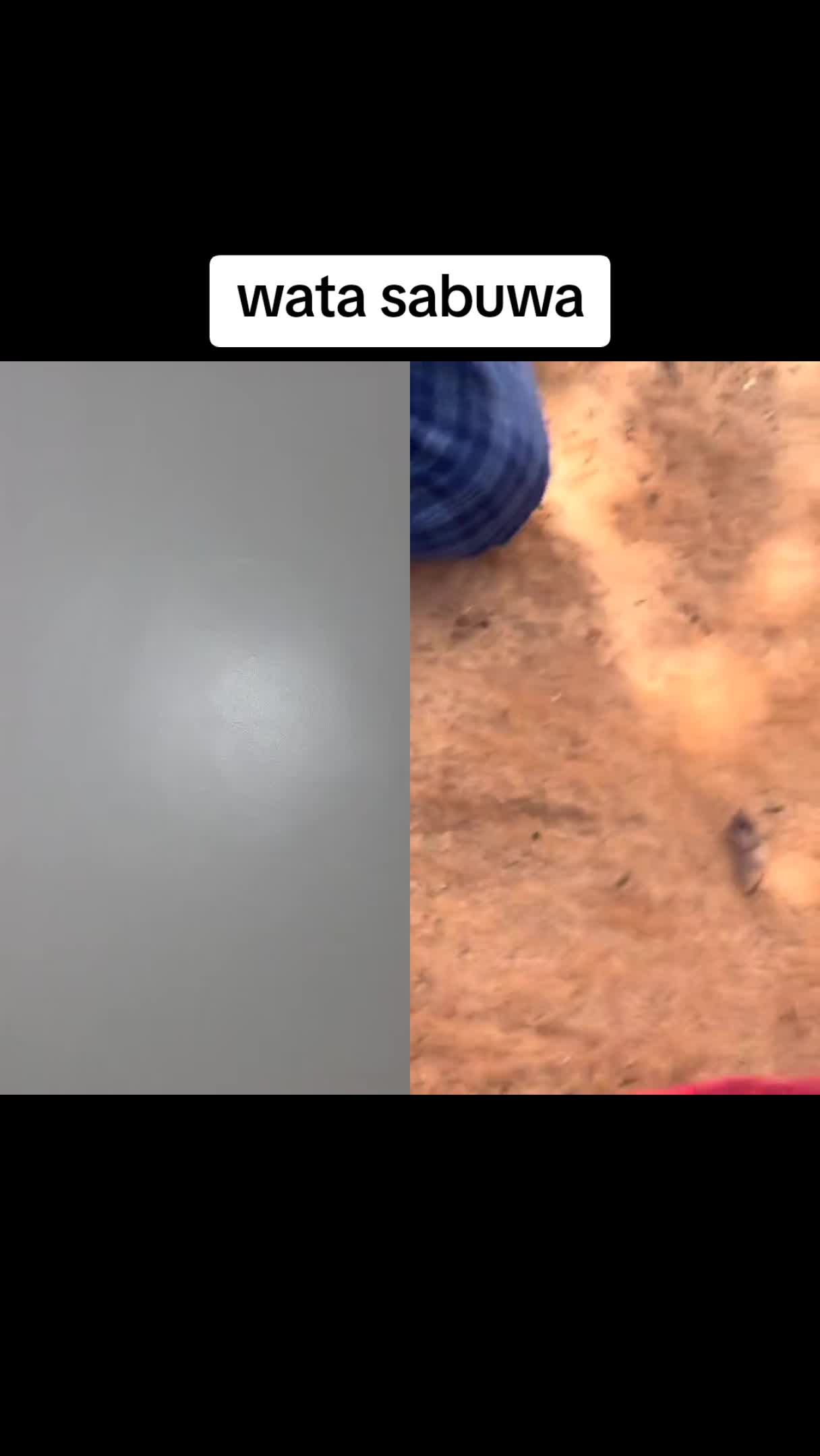 @عبد العزيز طاهر ⭐️ ♻️