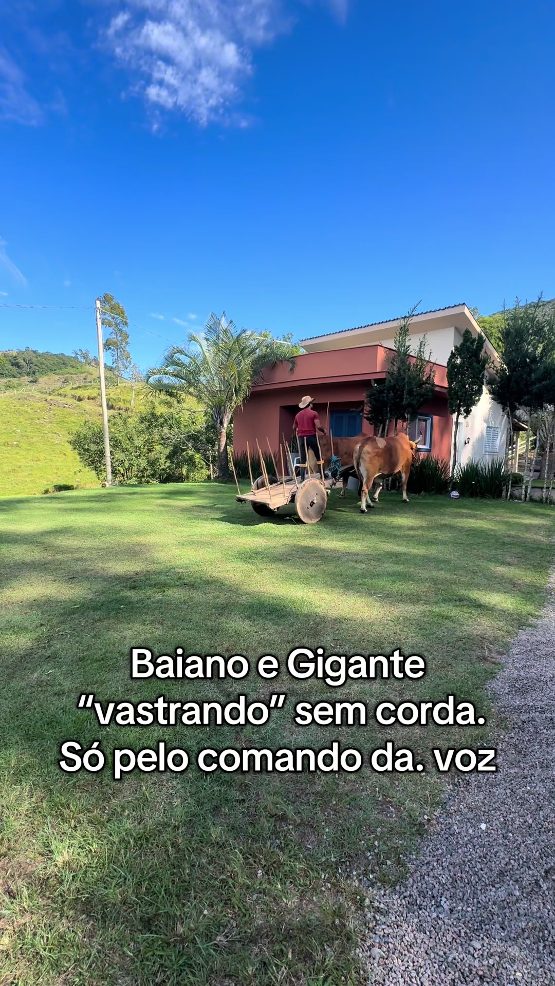 @Baiano e Gigante