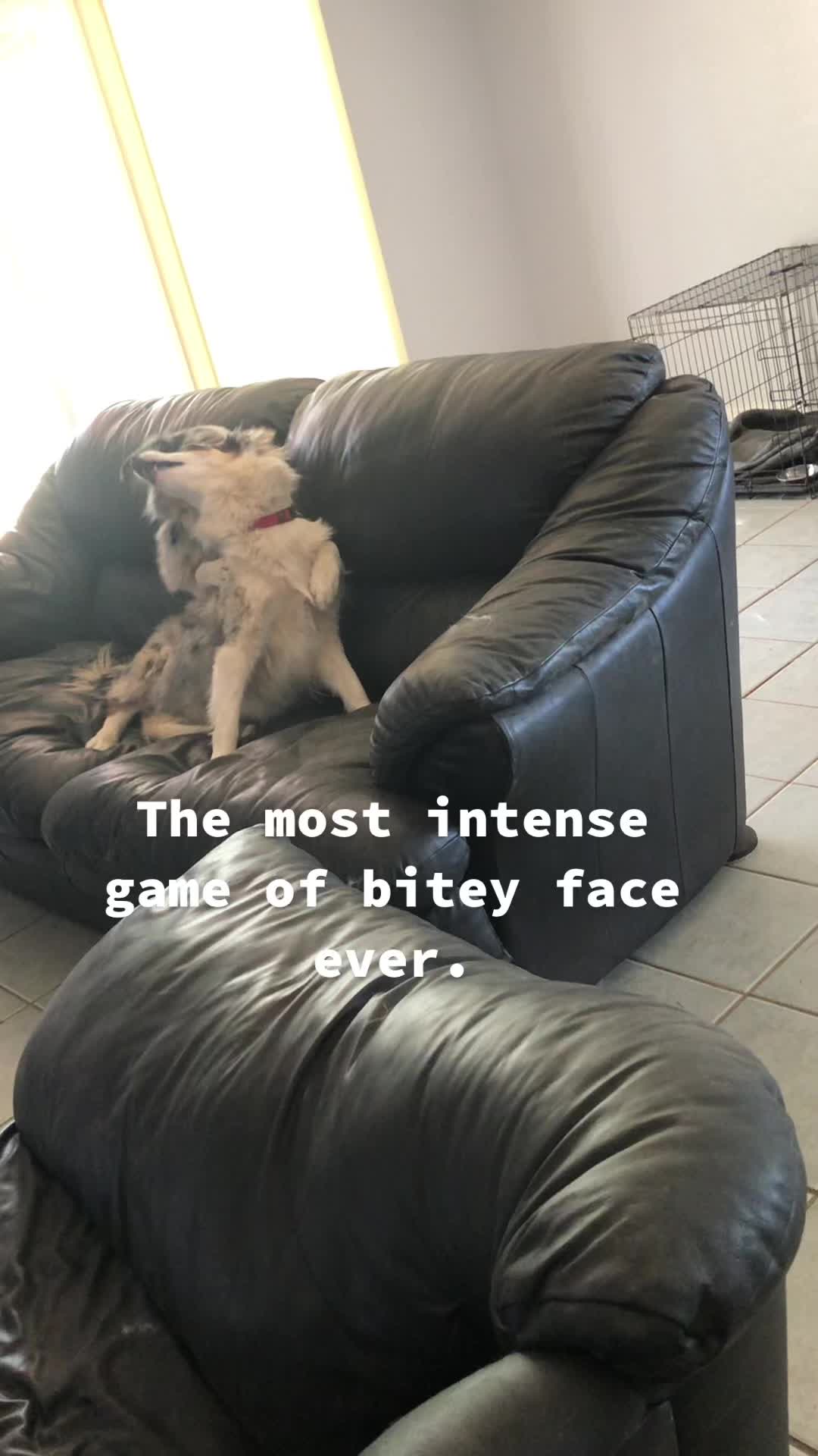 @seeingdoublemerle