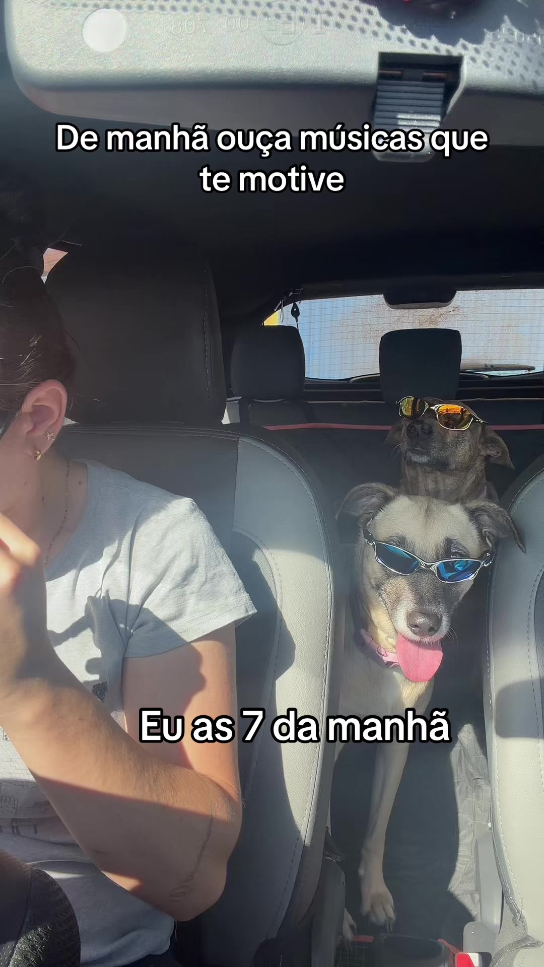 @Malaçombro 🐺