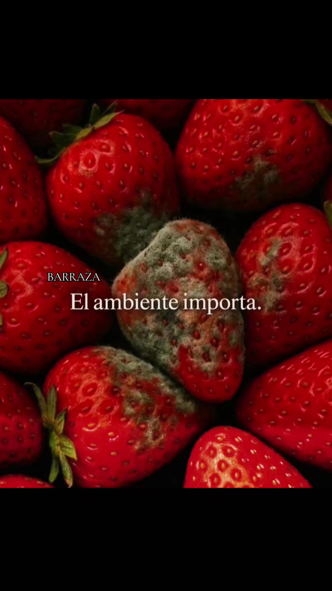@BARRAZA
