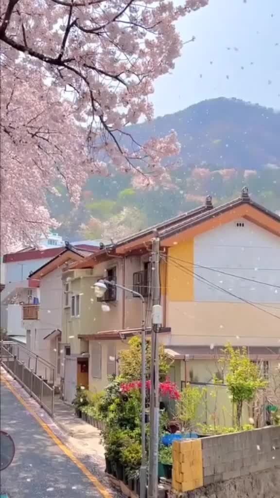 @Hyunjin hayatım olmuş ✨😻