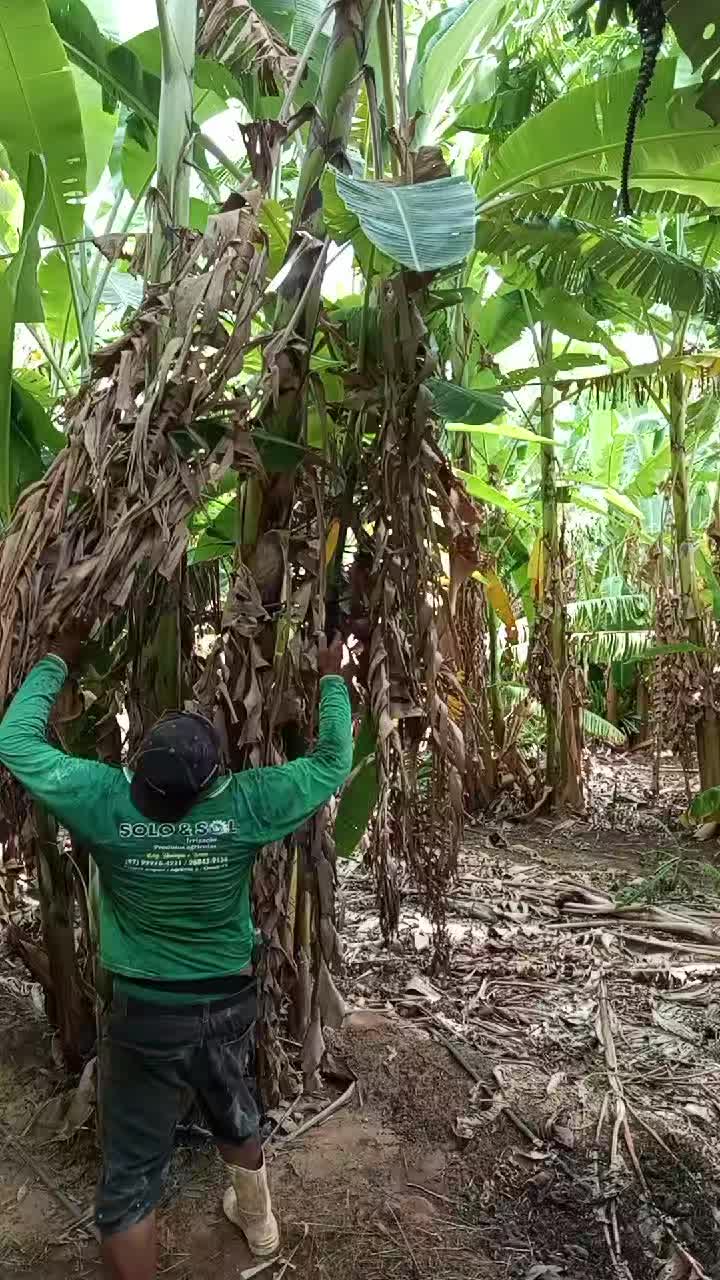 @C&iacute;cero Maicon Lopes
