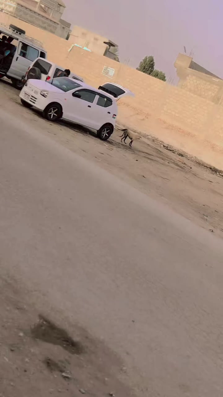 @shehzadi❤️🩹