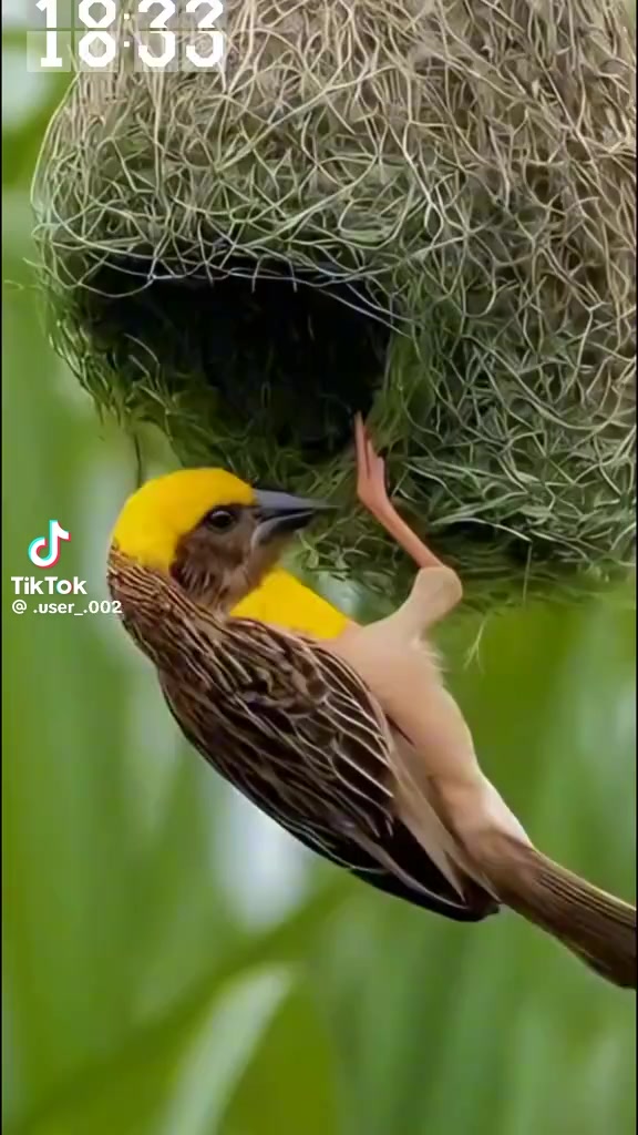 @Лаура Икматова