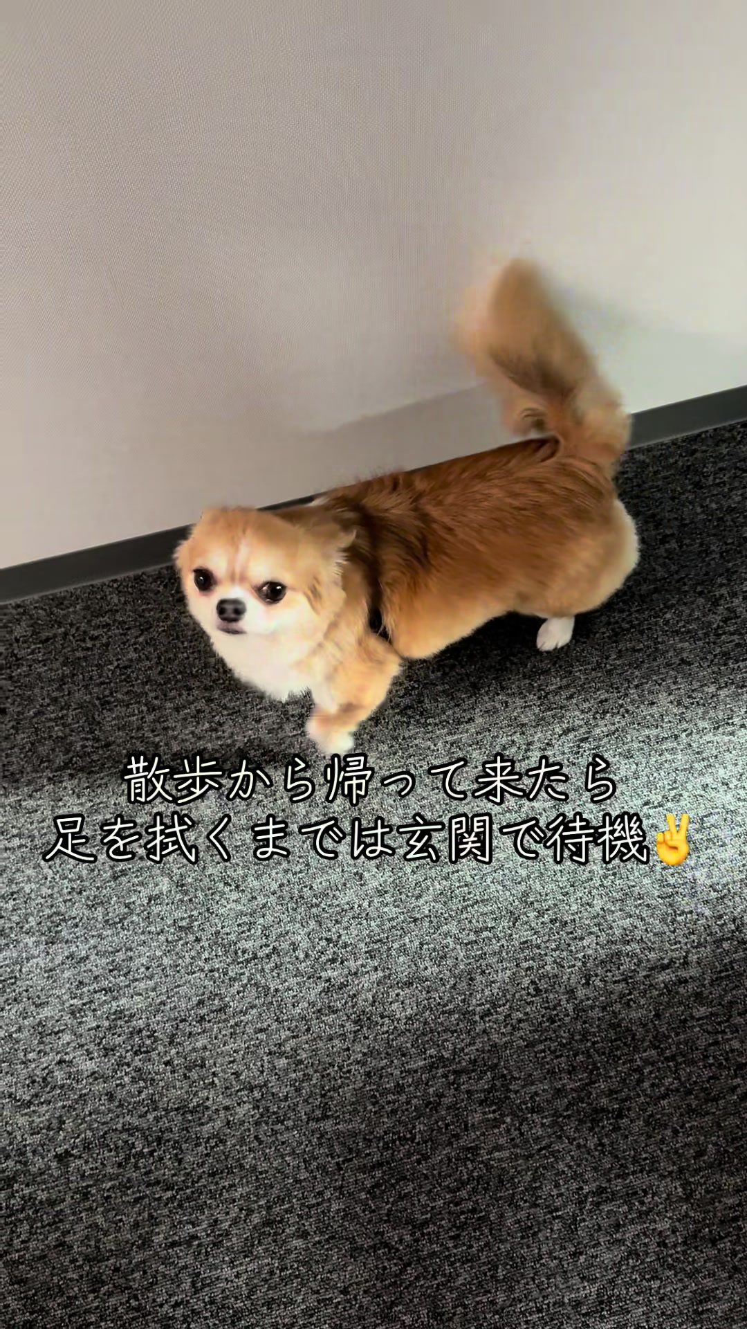 @心太