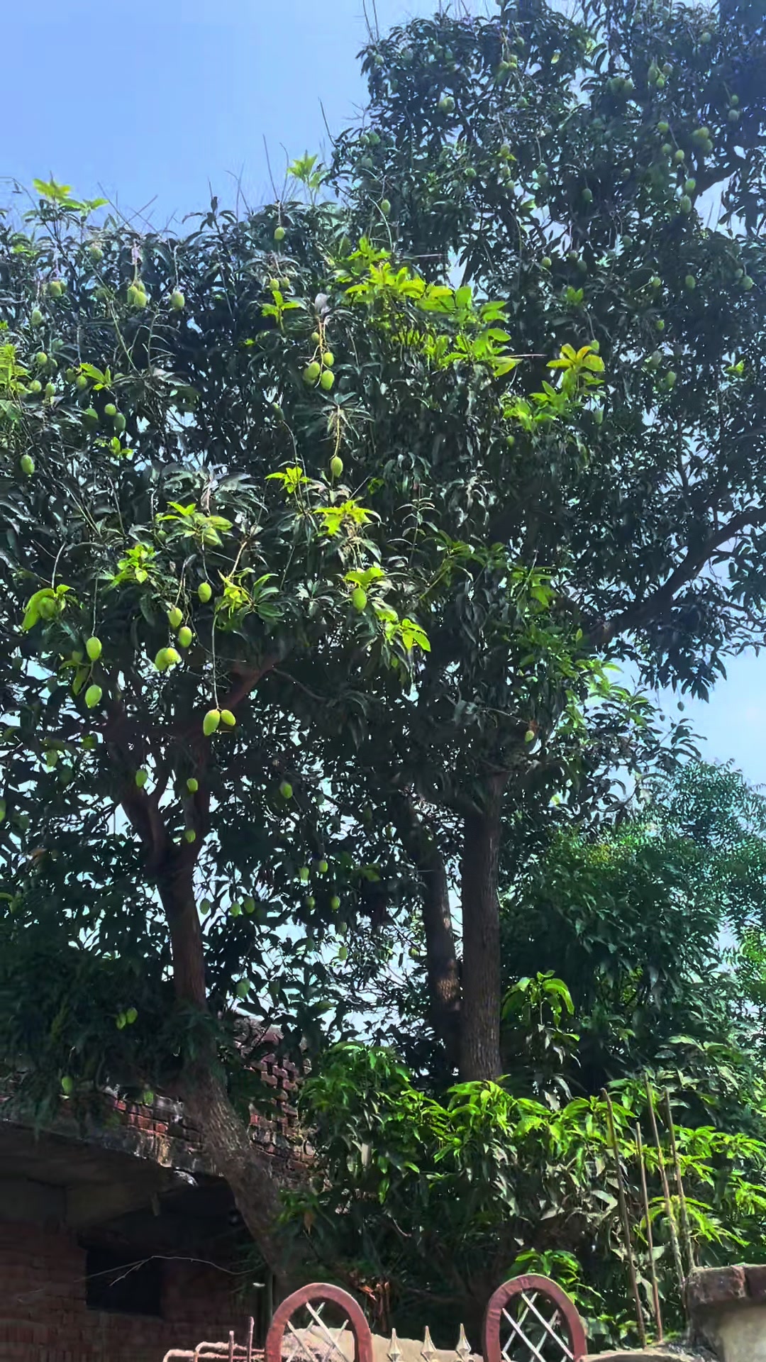 @Ak Ah Np