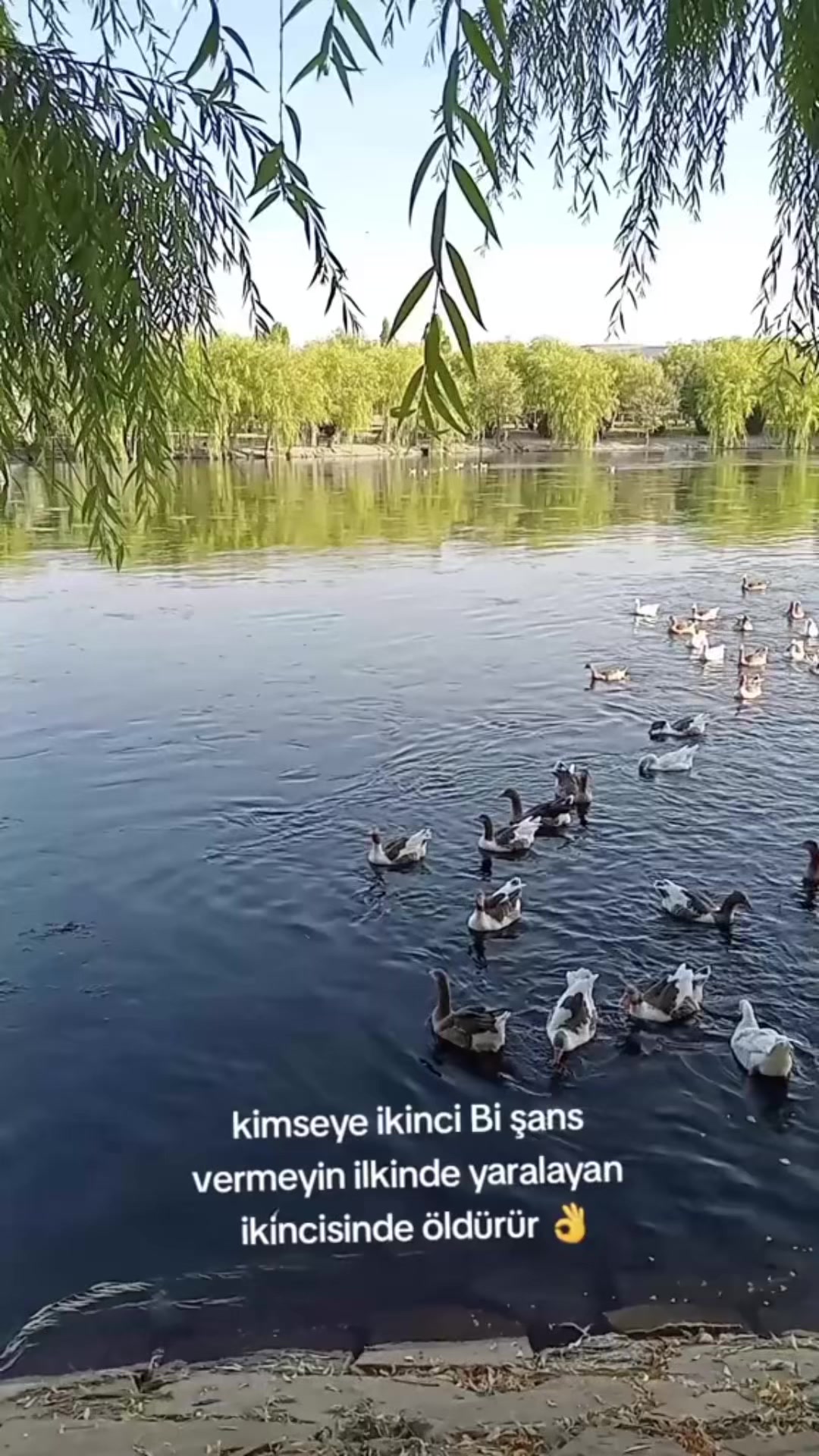 @Nigar
