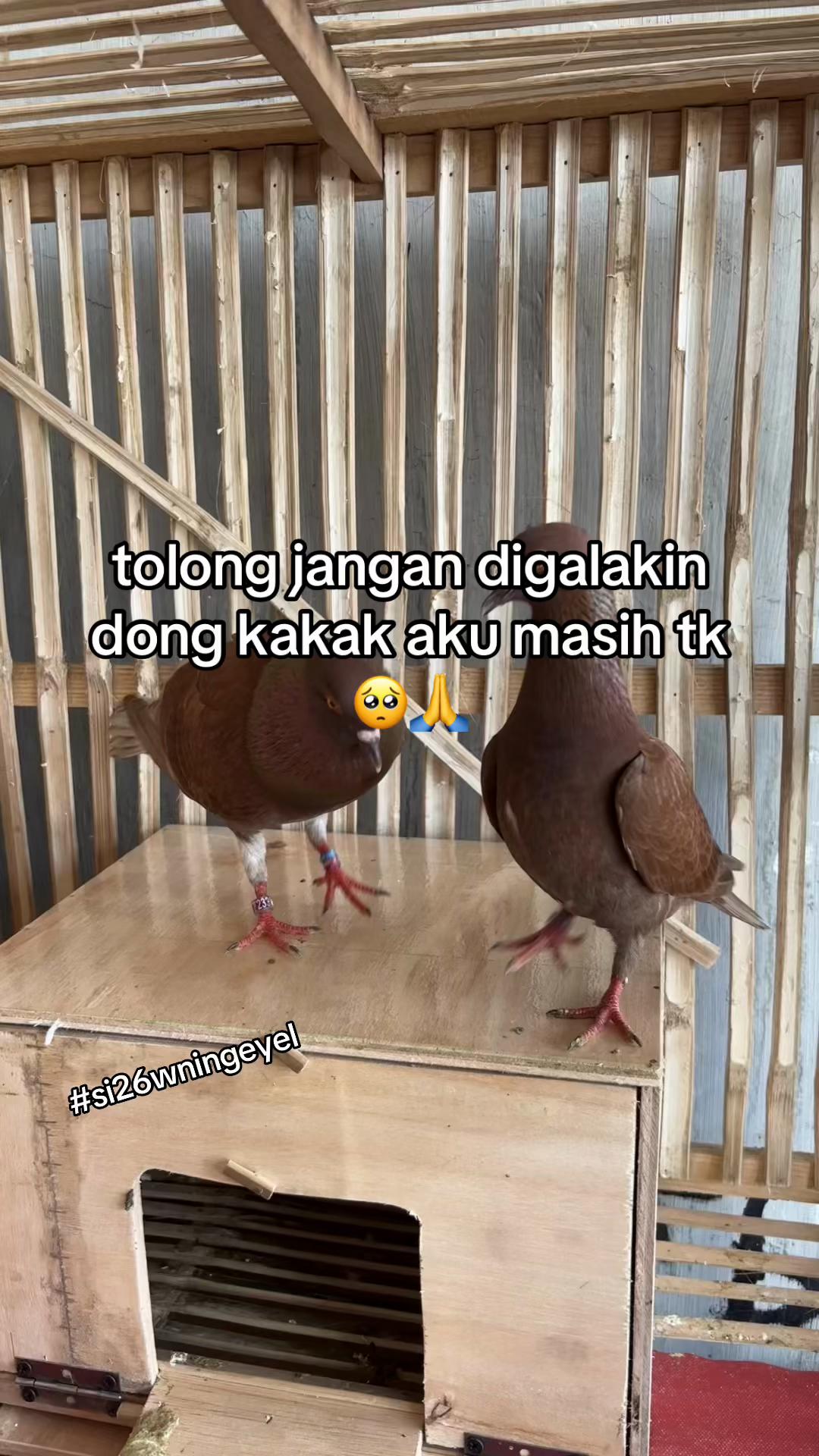 @A B TEAM