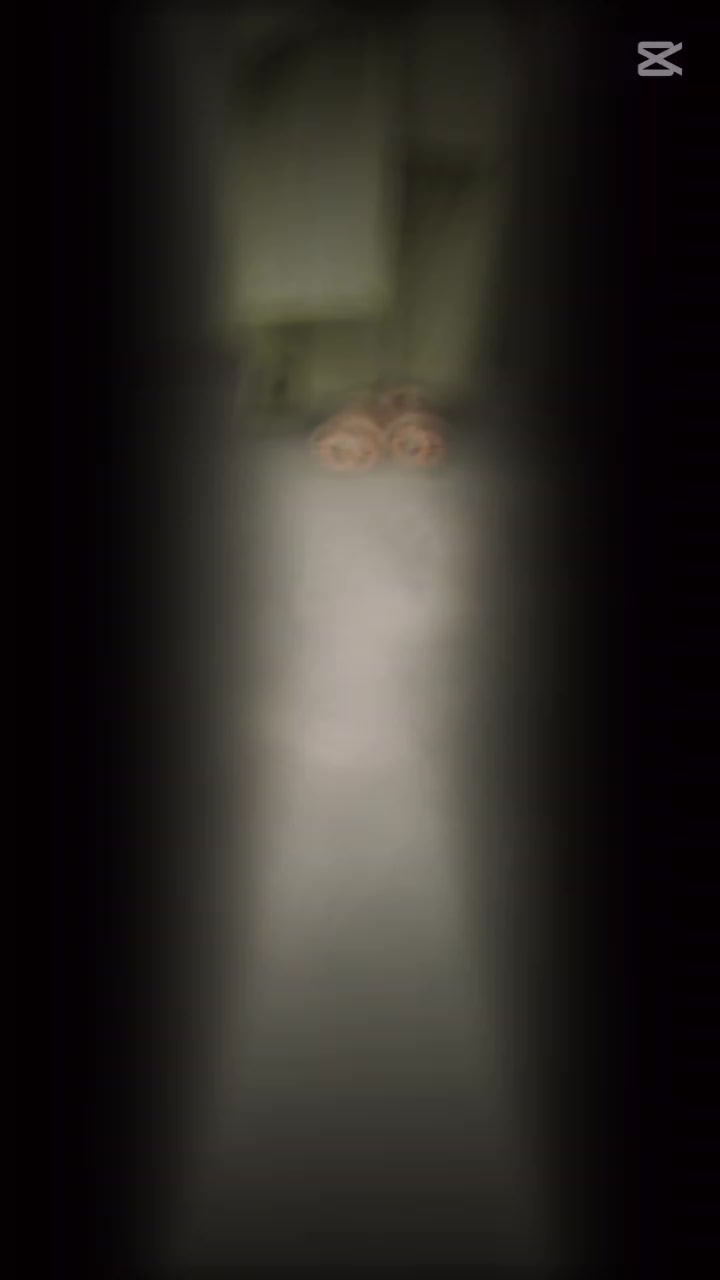 @𝙅𝙖𝙡𝙋𝙖𝙧𝙞𝙊𝙛𝙛𝙞𝙘𝙞𝙖𝙡
