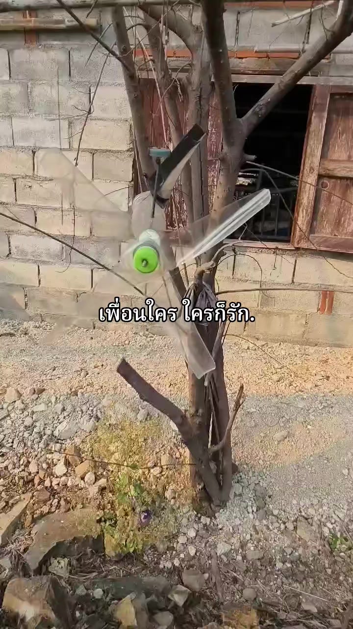 @🩶🩵