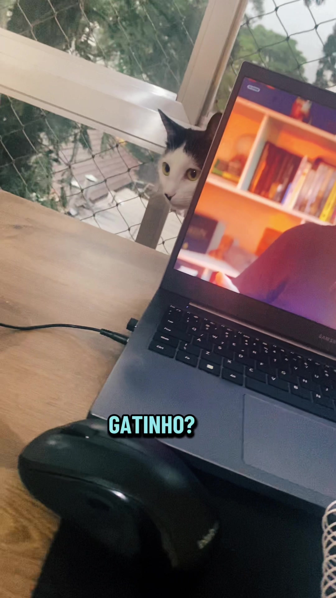 @Piticona