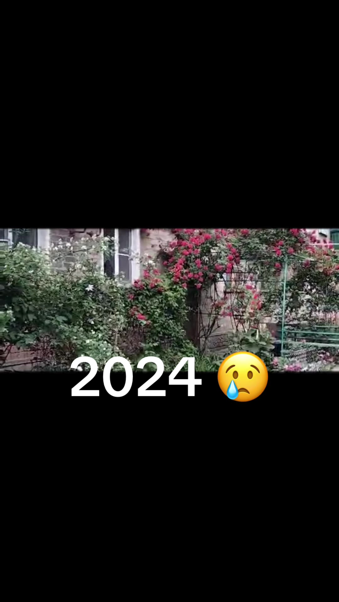 @Жанна Новак