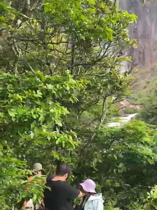 @Gavino Santos