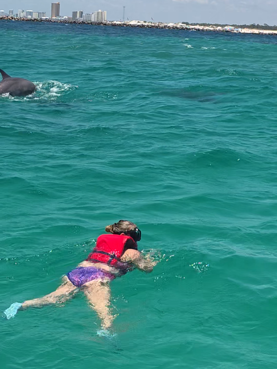 @Shell Island Dolphin Tours 🐬