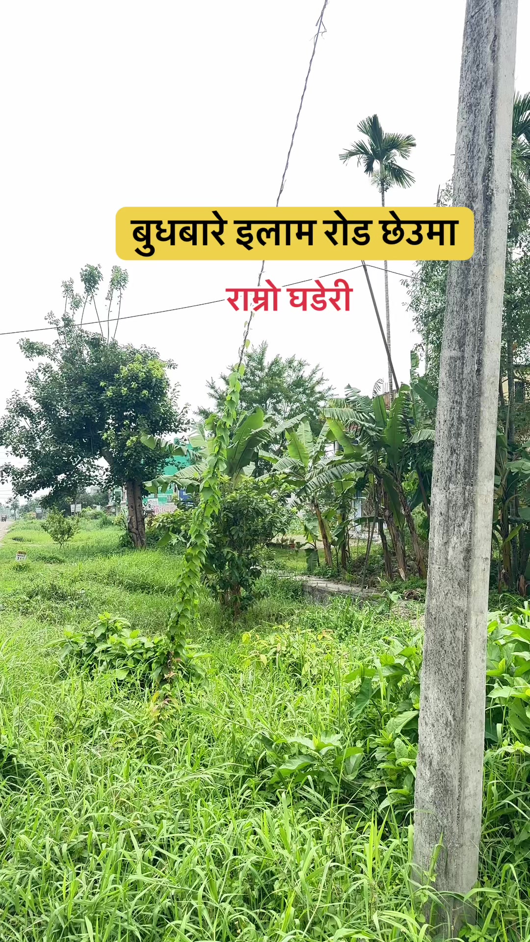 @Maikal ghar jagga