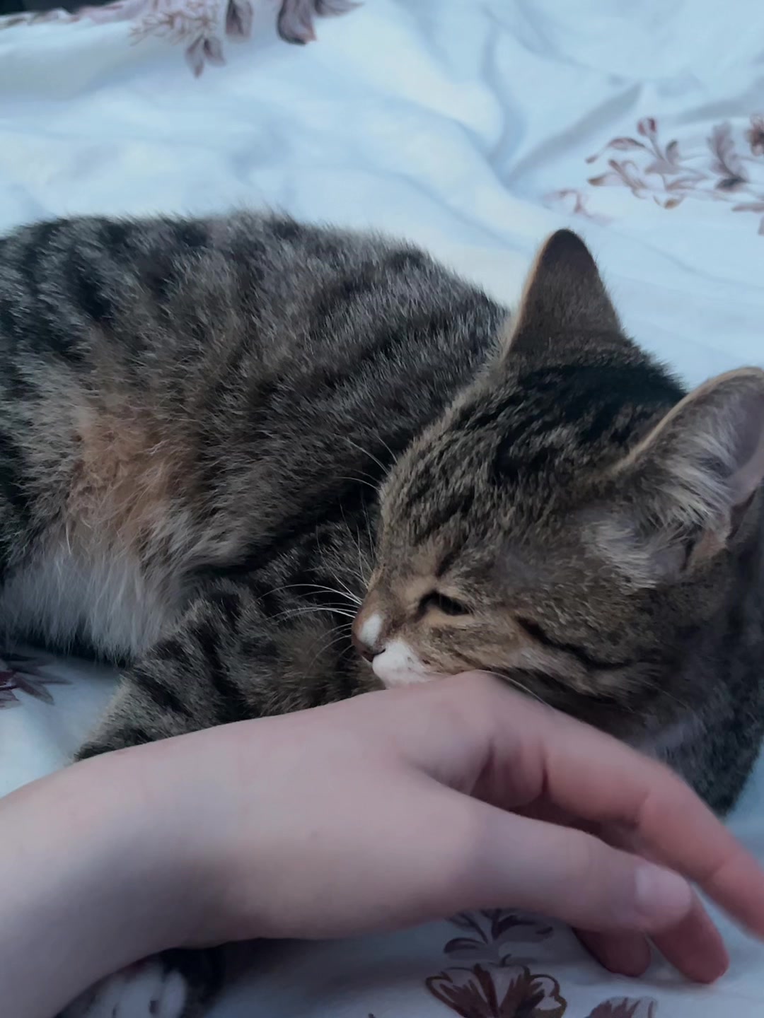 @Викуля