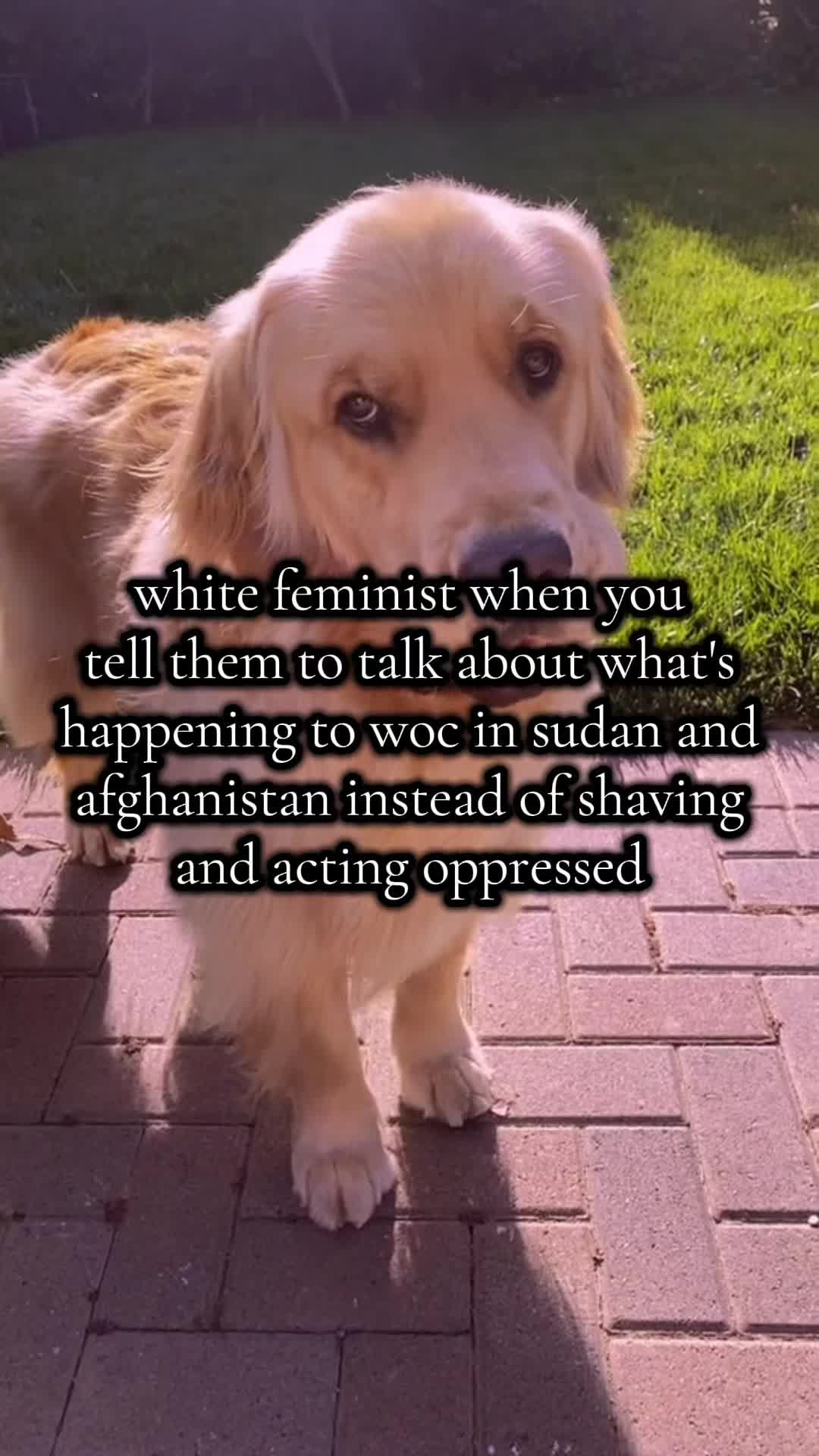 @alyx
