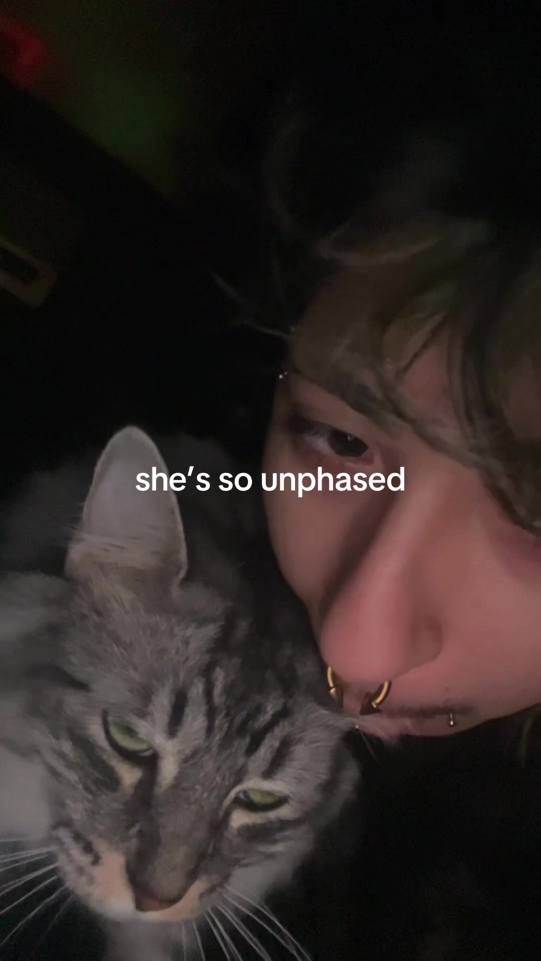 @anselll