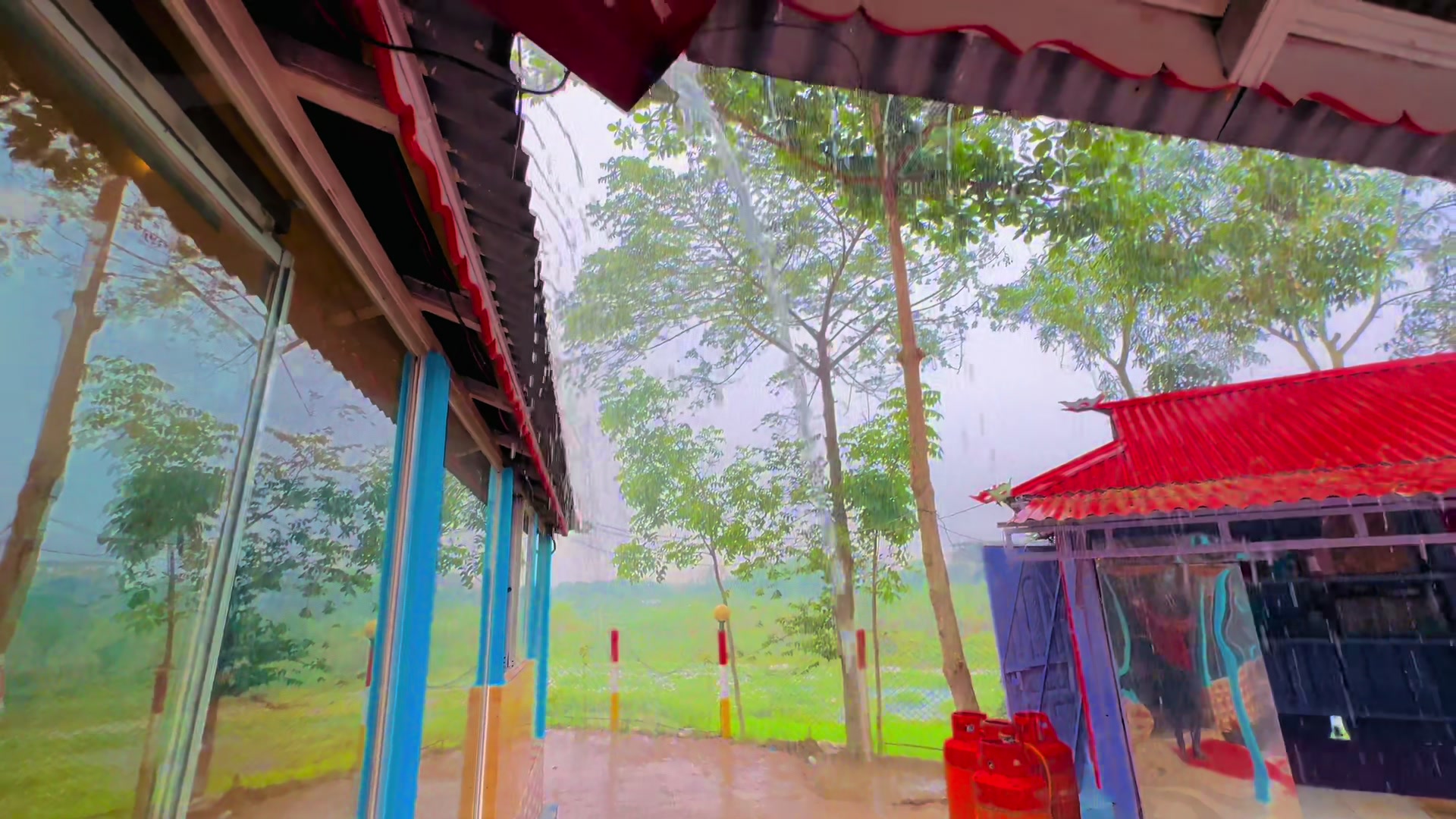 @🌼[ " CaFe শীতল হাওয়া " ]🌼