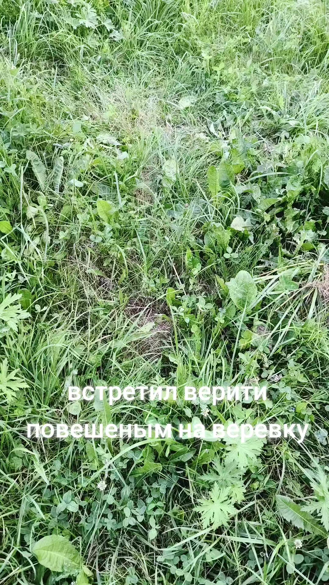 @mekh1ck#рафов