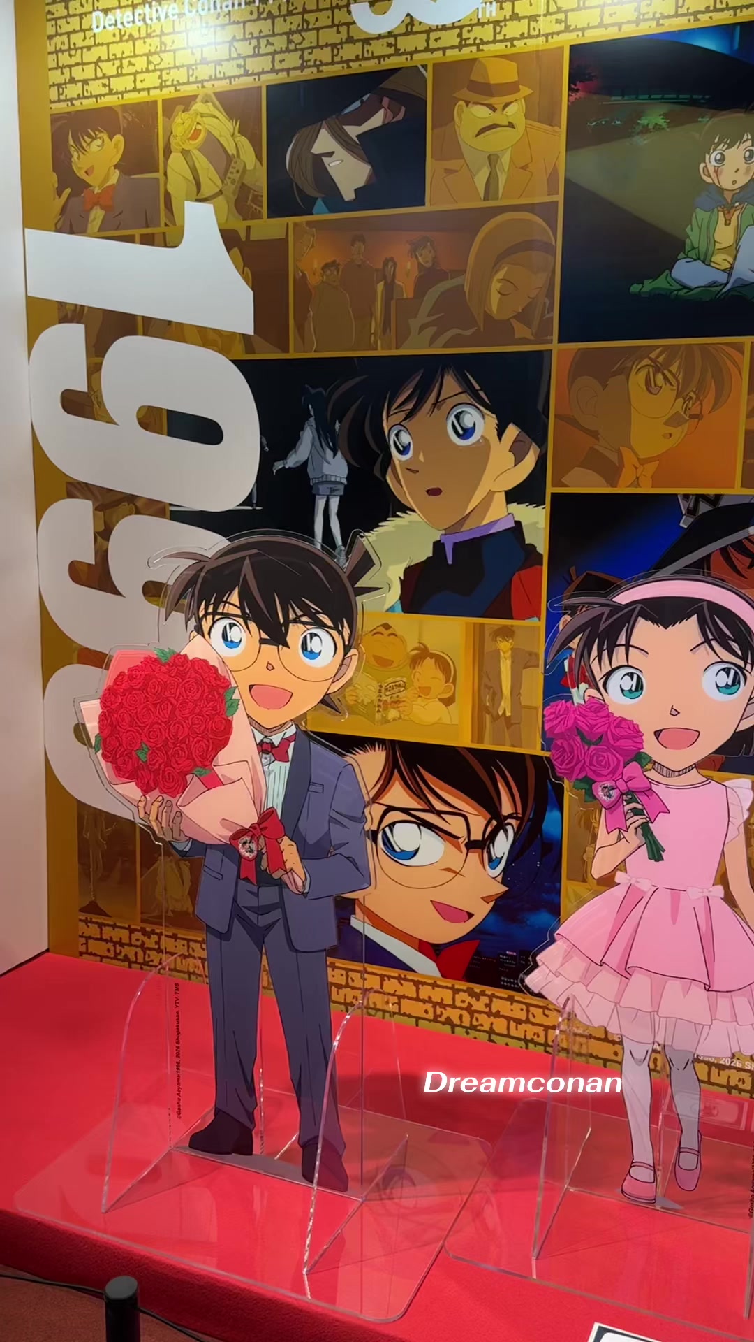@Dreamconan🦊🐯