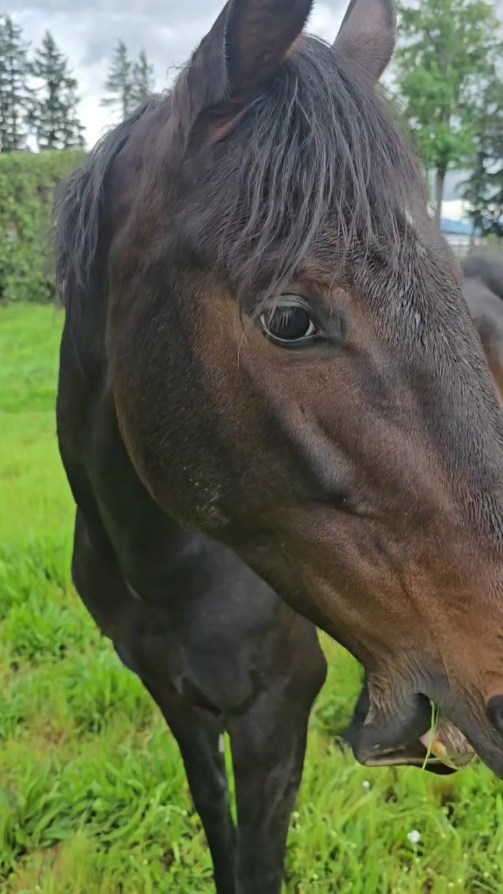 @flybabyfoals