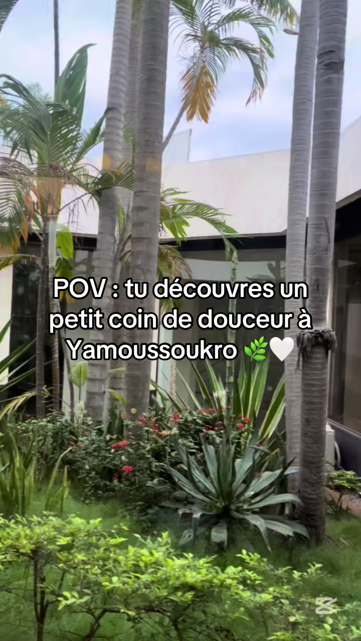 @KenzaShin