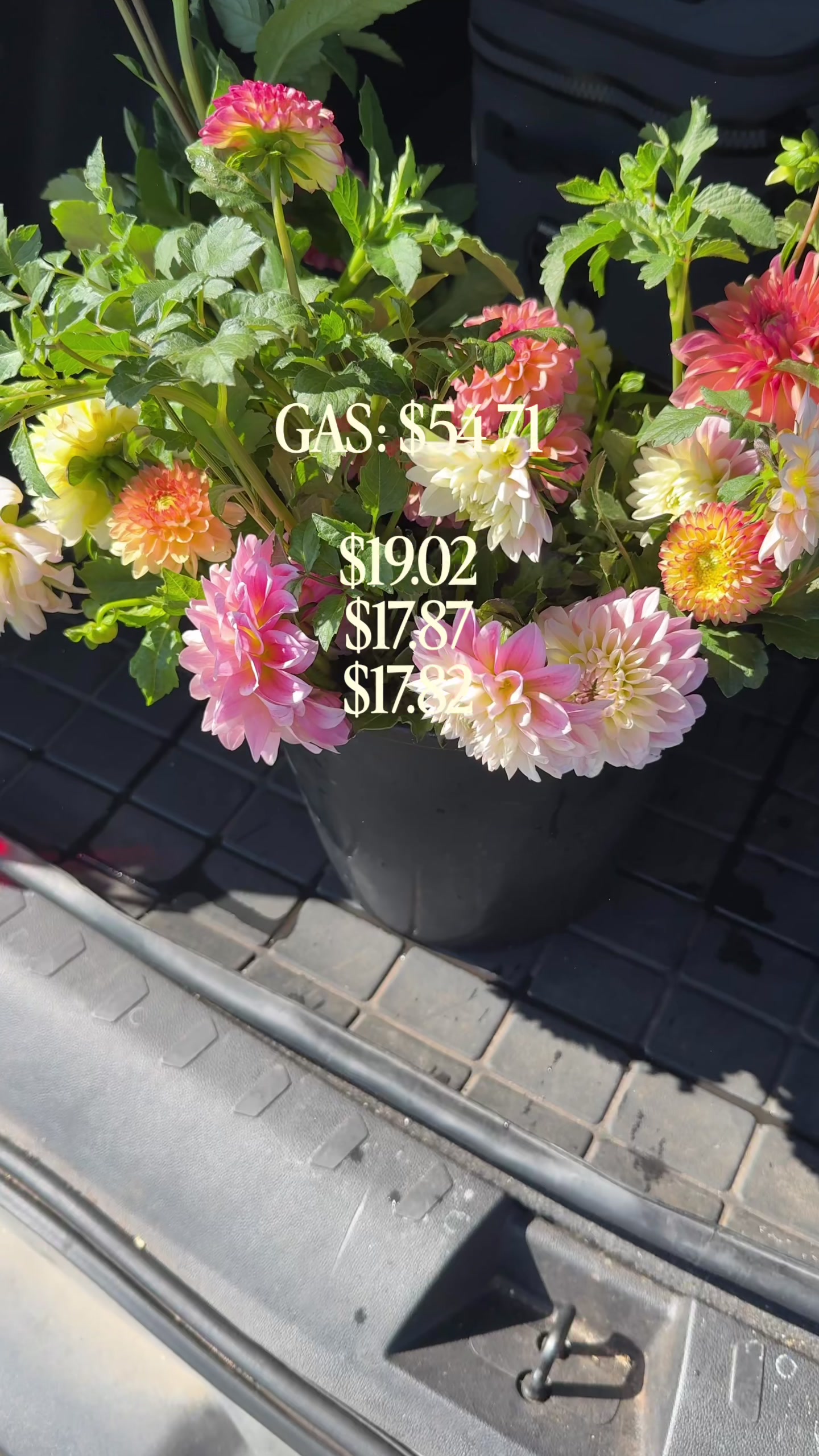 @Morgan | flowers and biz