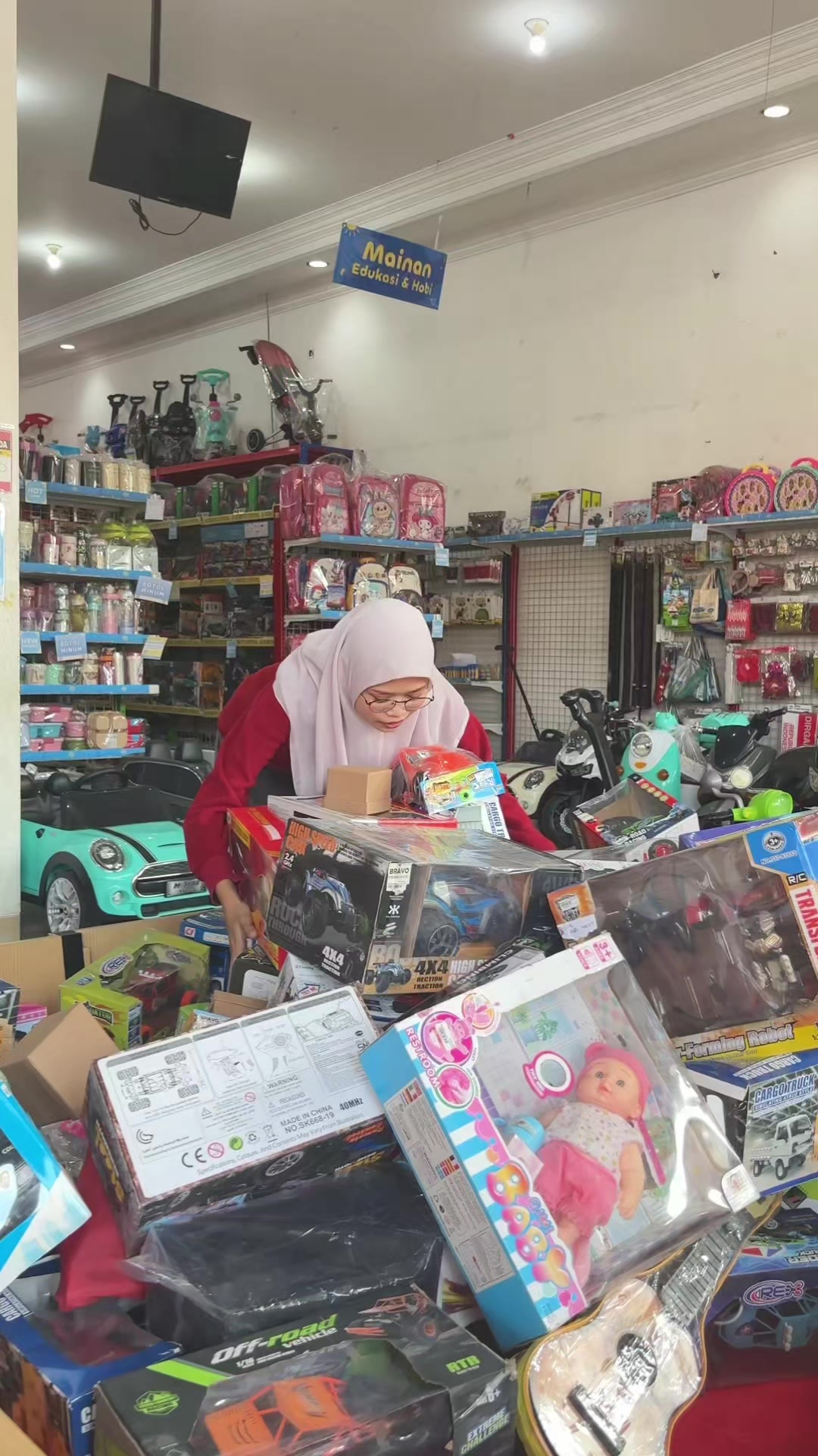 @Toko Mainan Dolphin Toys