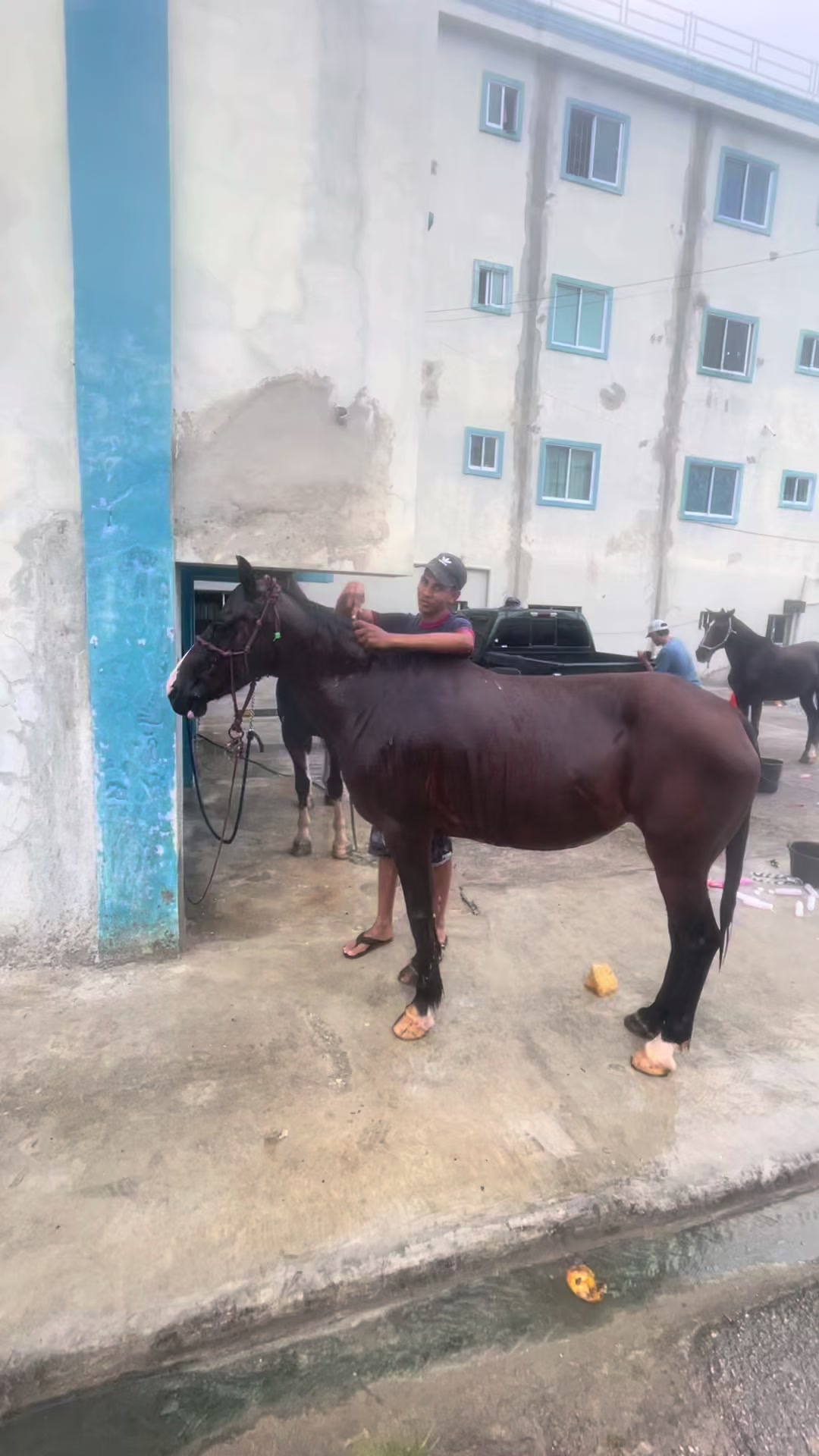 @ JM L&oacute;pez 