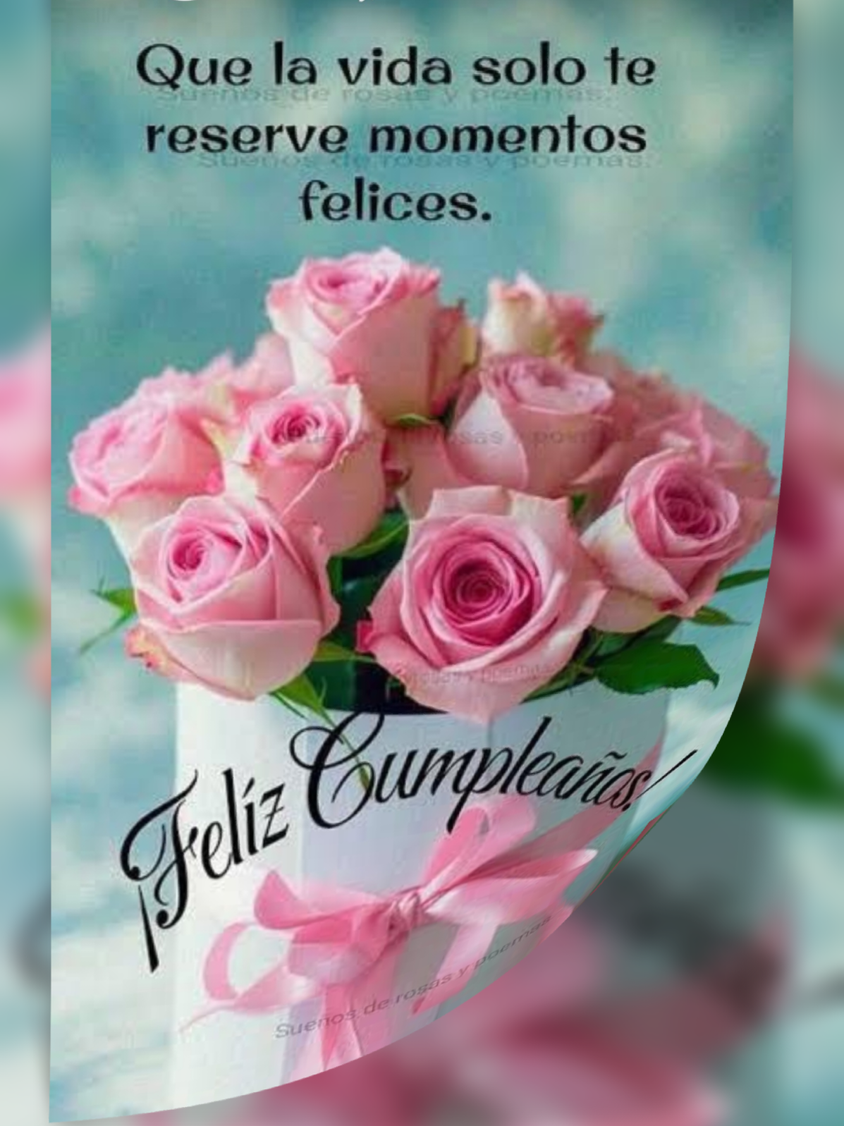 @Maria Florencia Zapata Arias