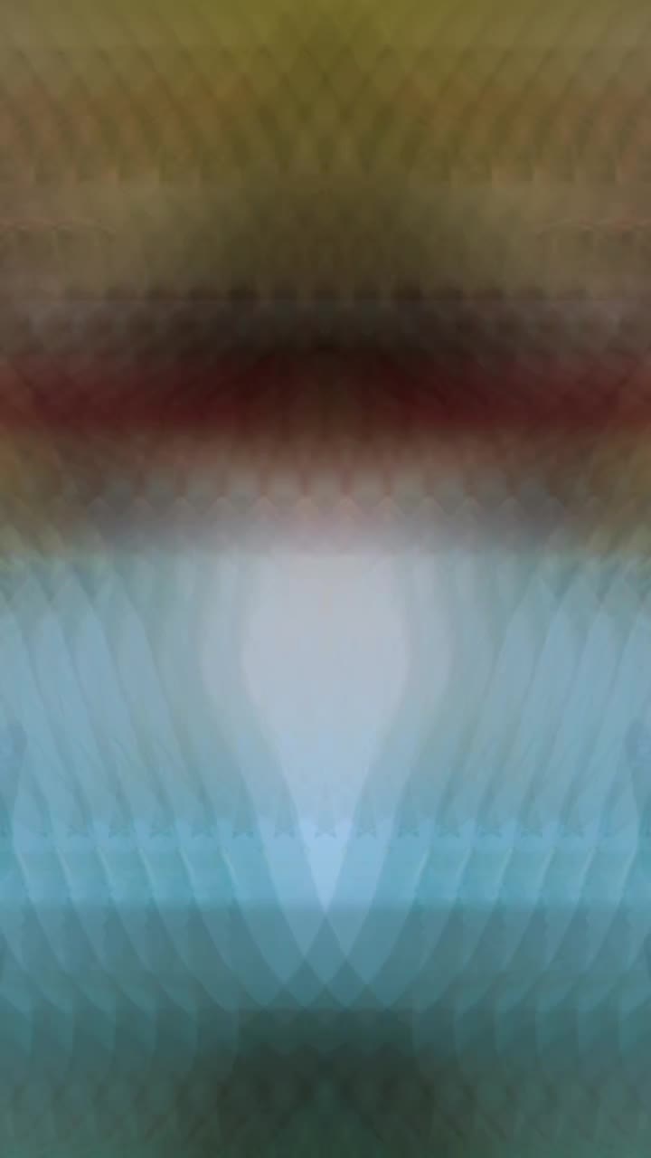 @🌸𓆩WH ƎƆNOƆ𓆪🌸