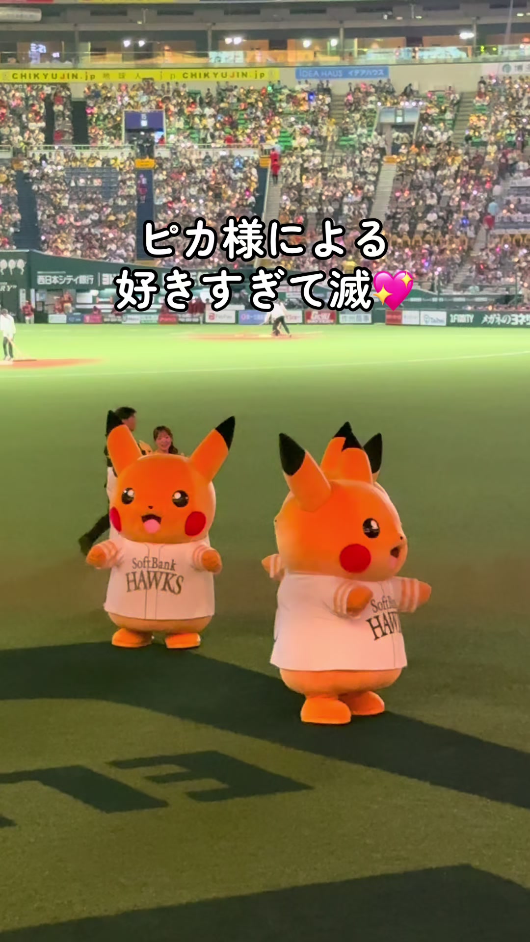 @りんちゃん⚾️やきう