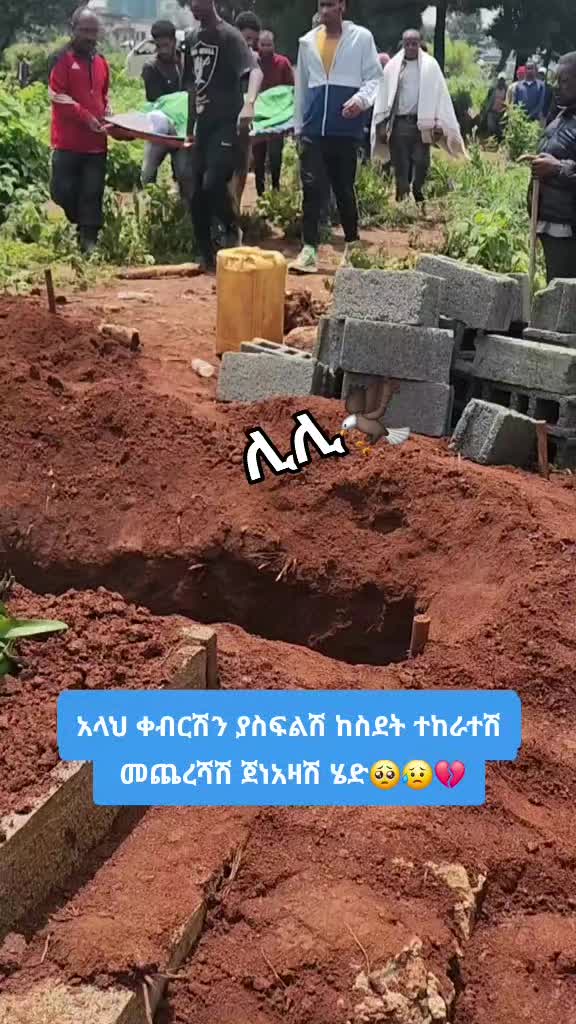 @๐งแแ๐
ฐ๏ธ๐ฆ