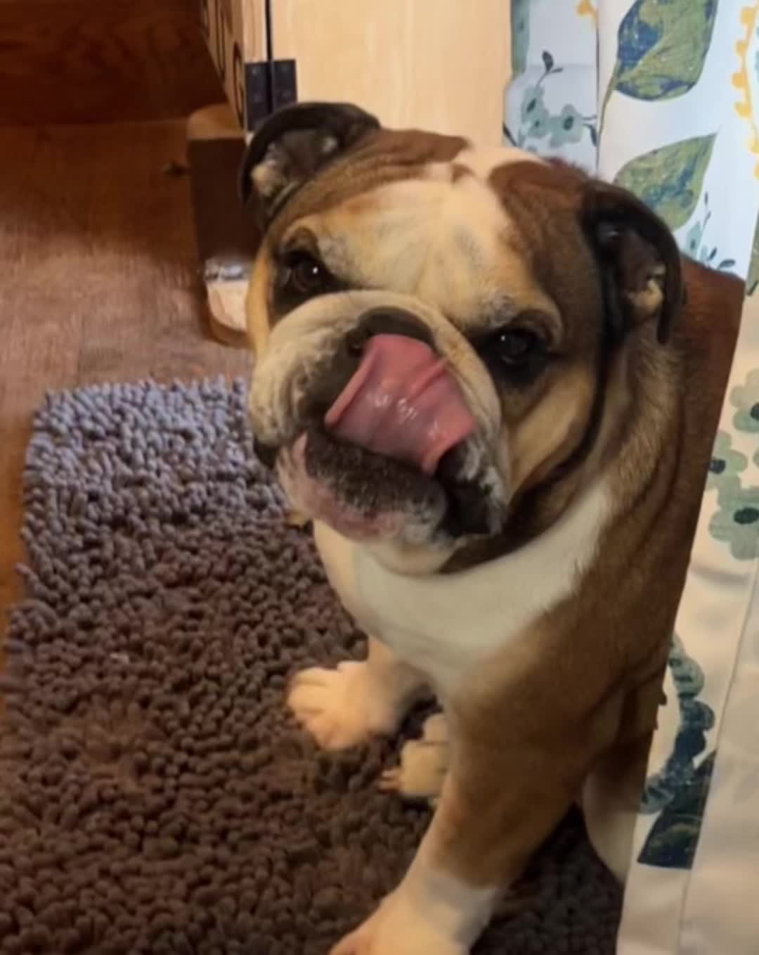 @NayaBulldog