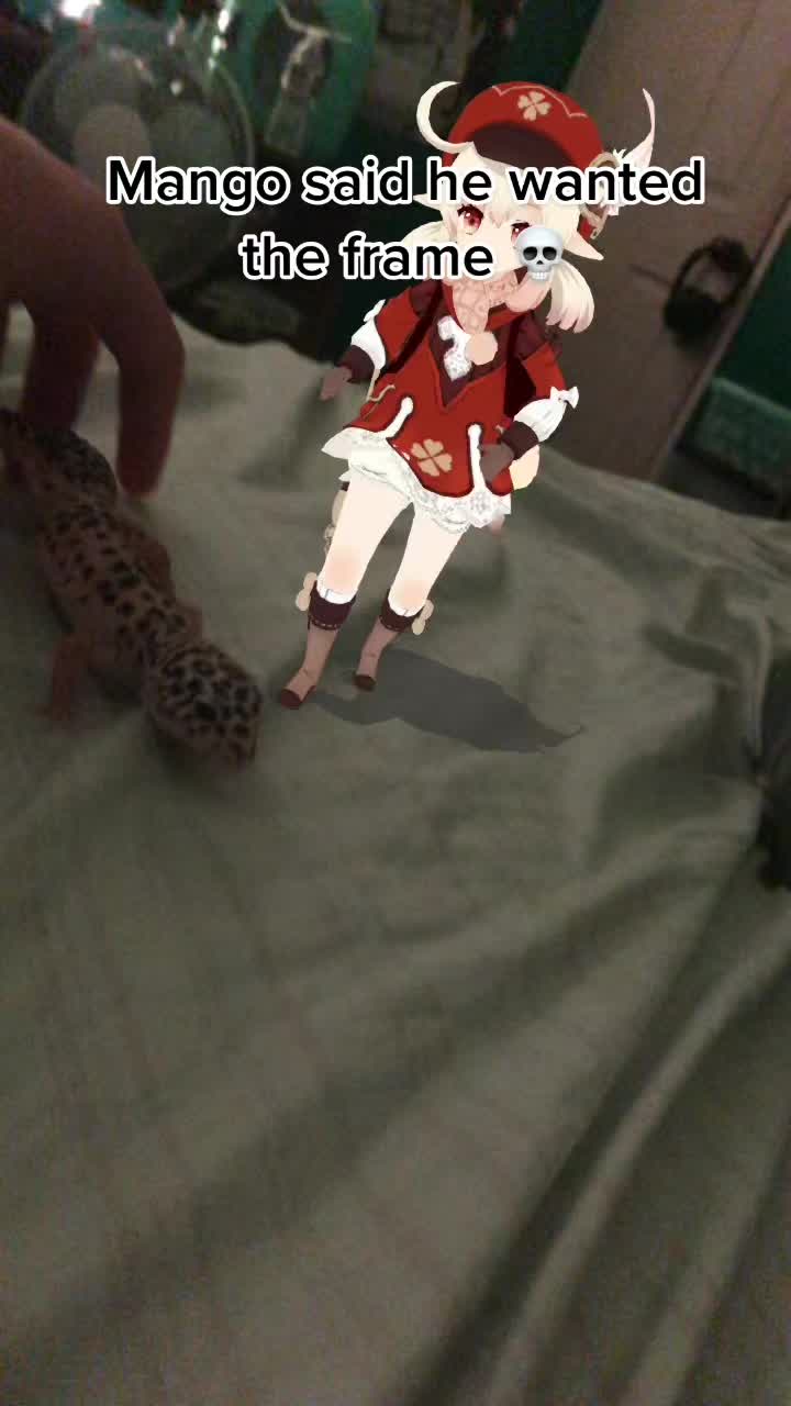 @M̾a̾n̾g̾o̾