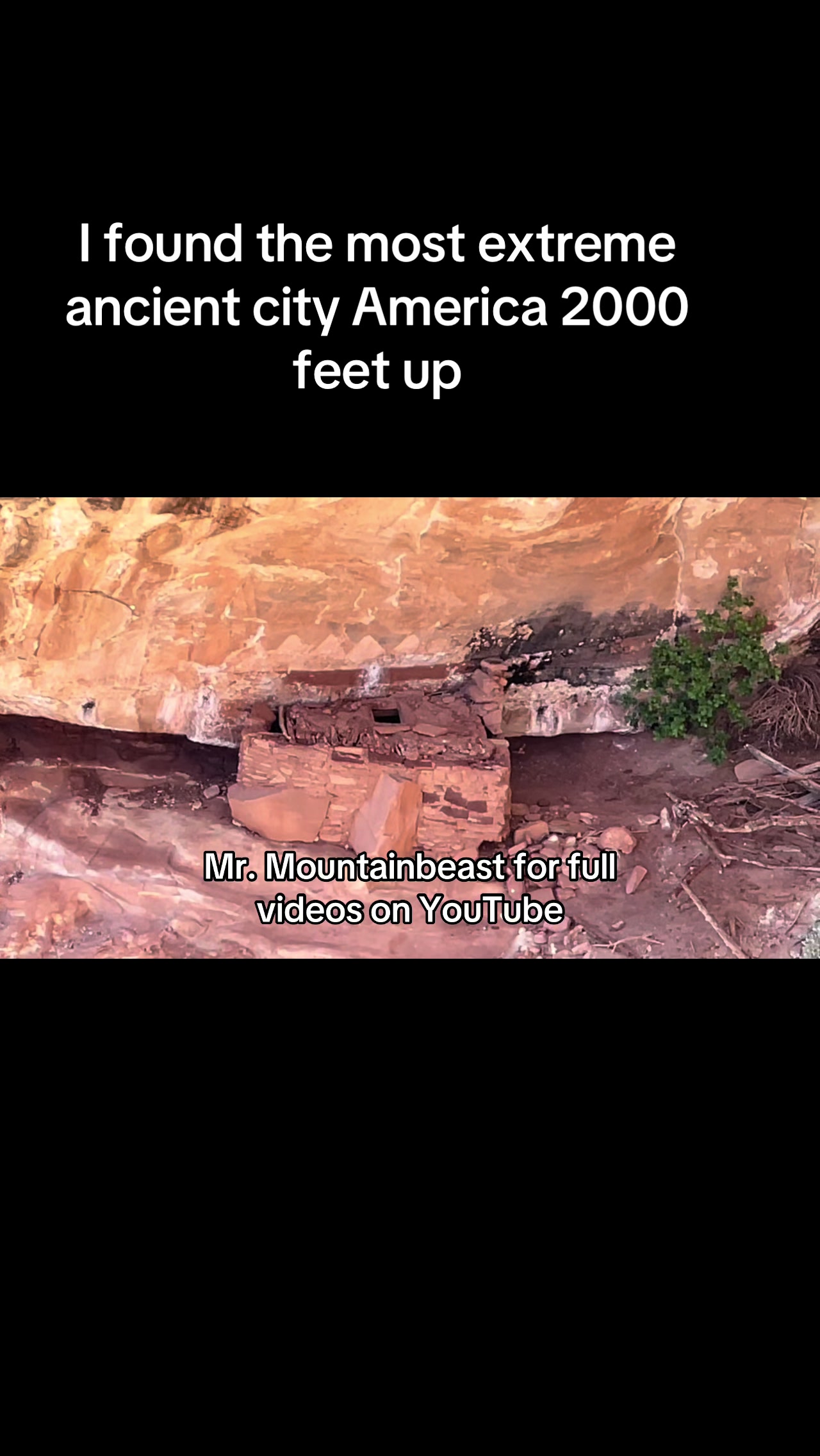 @Mr.mountainbeast