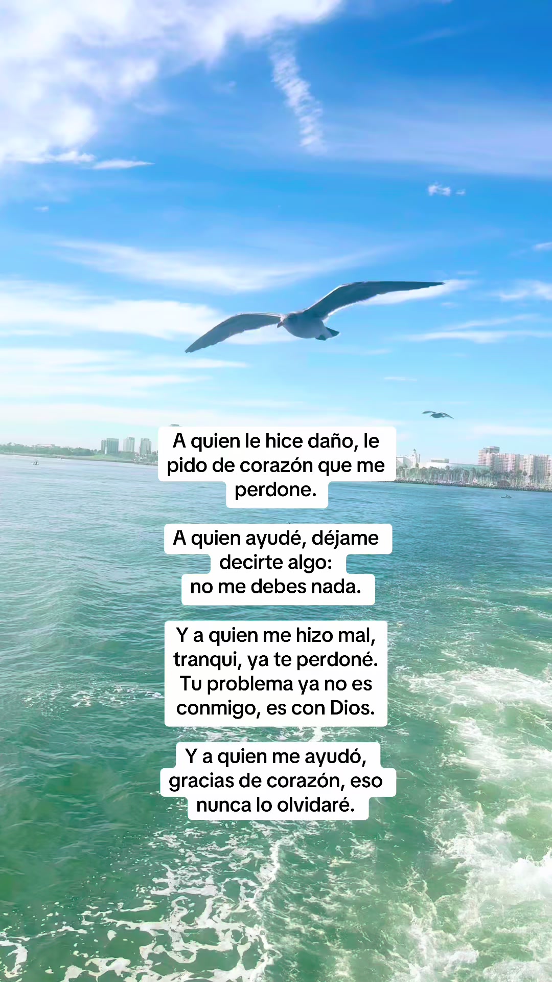 @Betty serrano