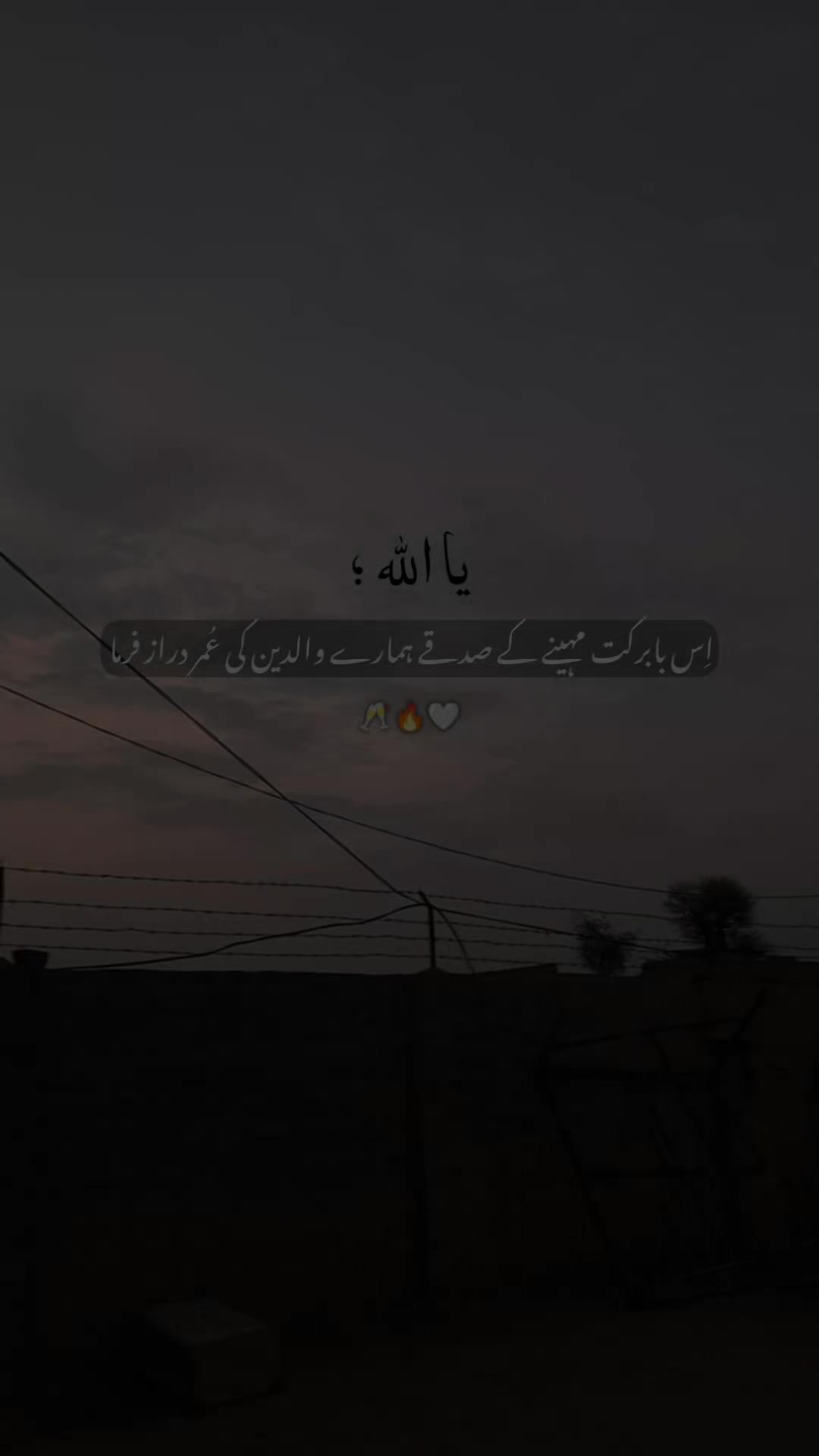@𝑰𝒕𝒔. 𝒁ᵘ𝐁ⁱⁱ
