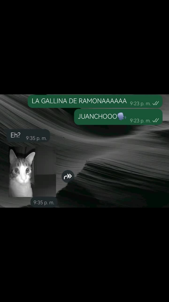 @Soy Laura