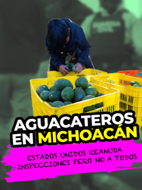 @MVSNOTICIAS