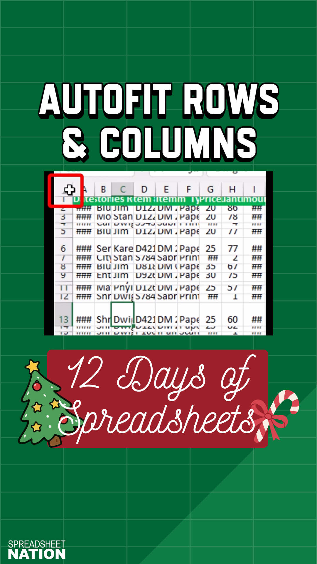 @Spreadsheet Nation