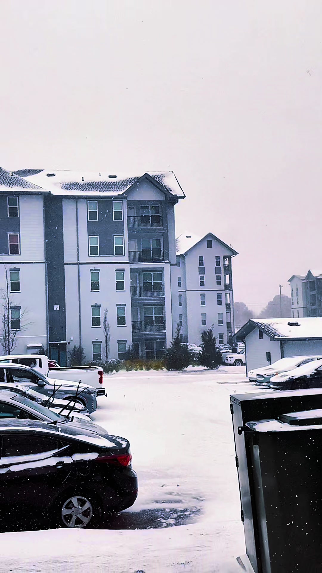 @manuel pirela camba
