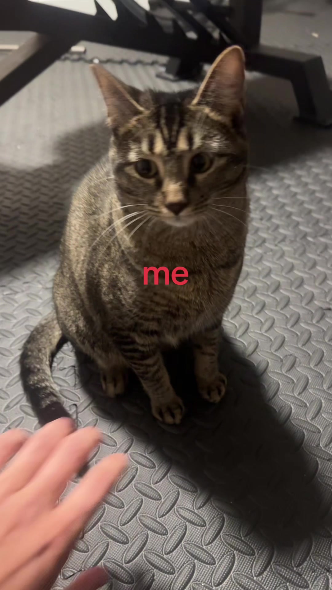 @felipexdiz