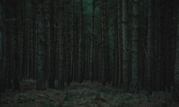 @Horror movies inventory
