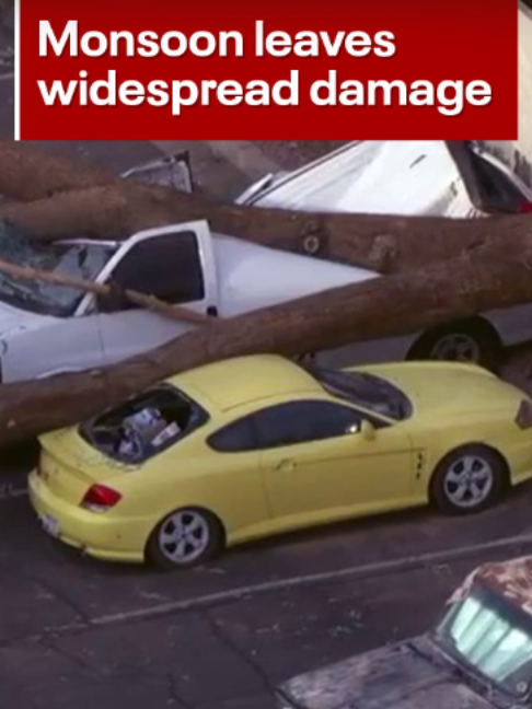@FOX 10 Phoenix