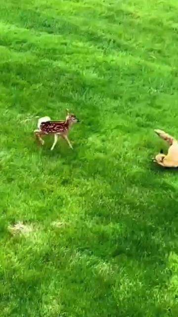 @🐾E-one 🌻Get🐕It♉ Done🪴