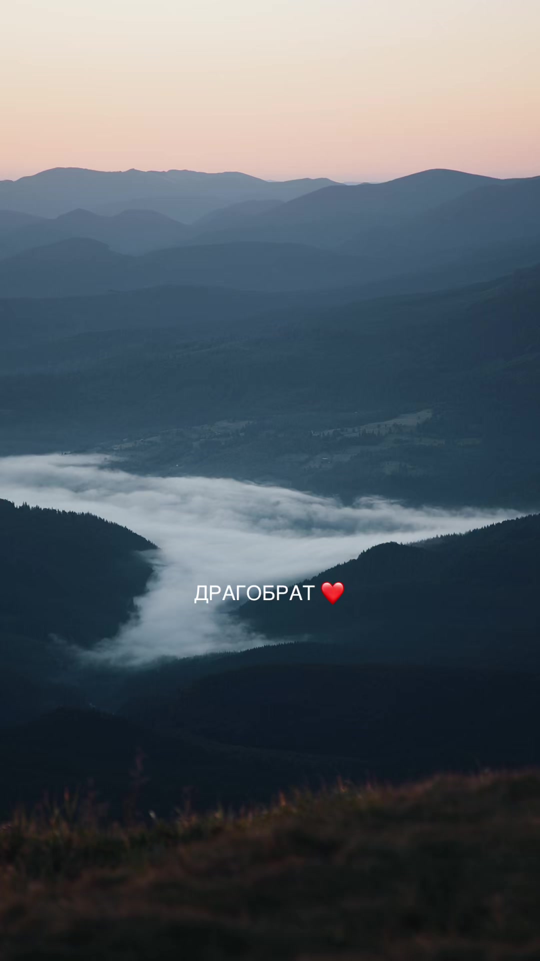 @Go to Dragobrat⚡️